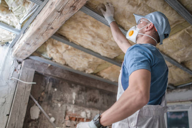 Best Commercial Insulation in Pottsville, AR